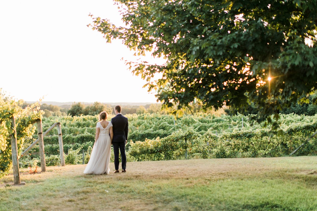 Vineyard Wedding Photography | Cory Weber Photography