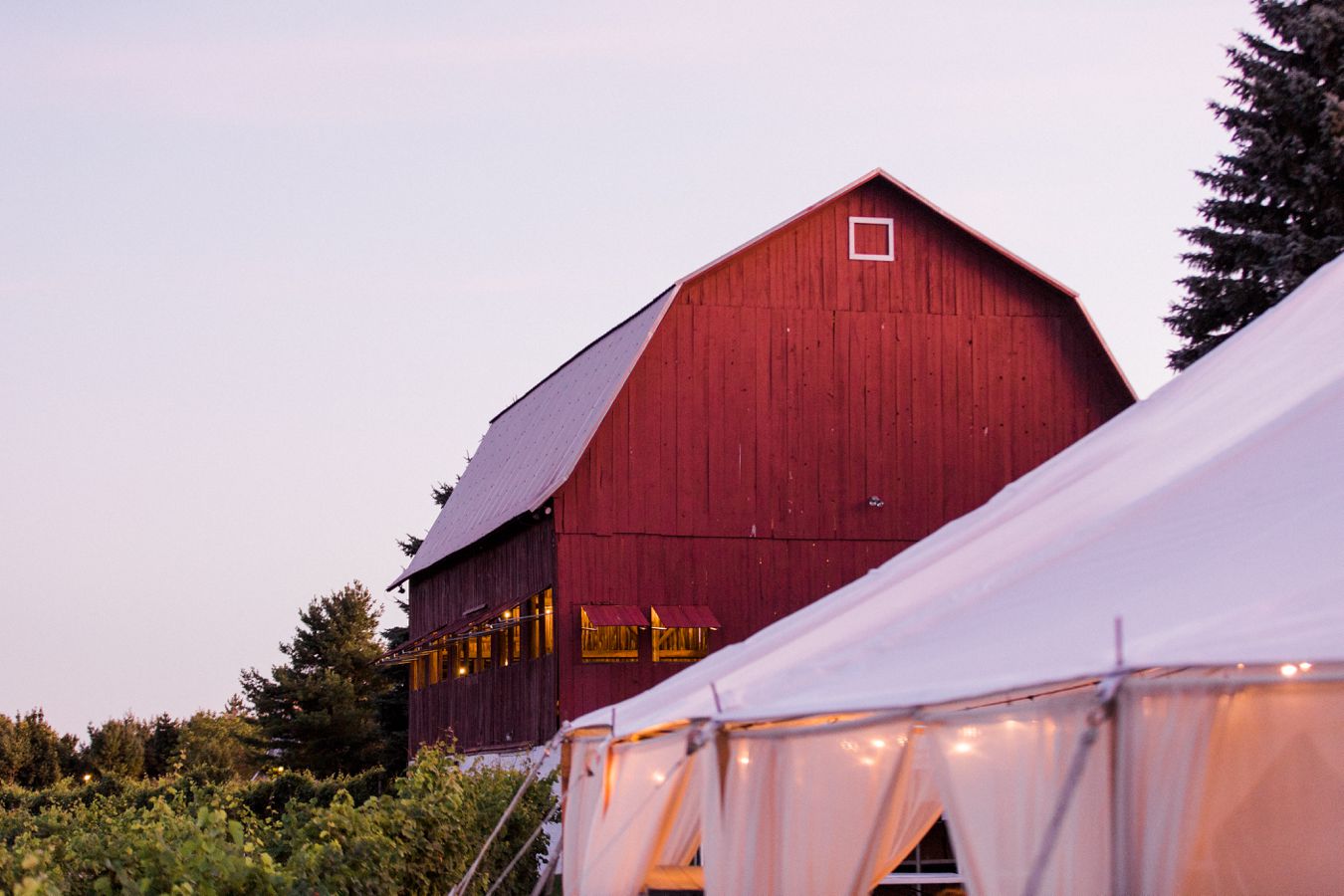 Vineyard Wedding Photography | Cory Weber Photography 