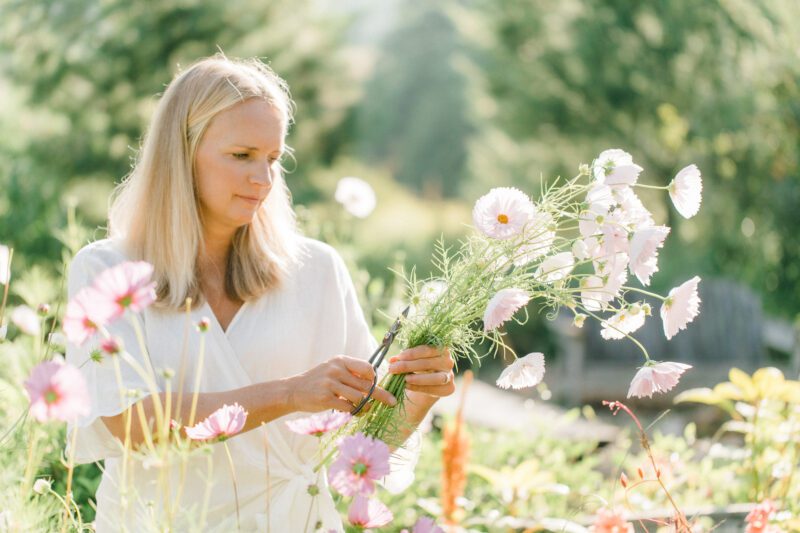 A women picks flowers in a garden for personal business brand photography