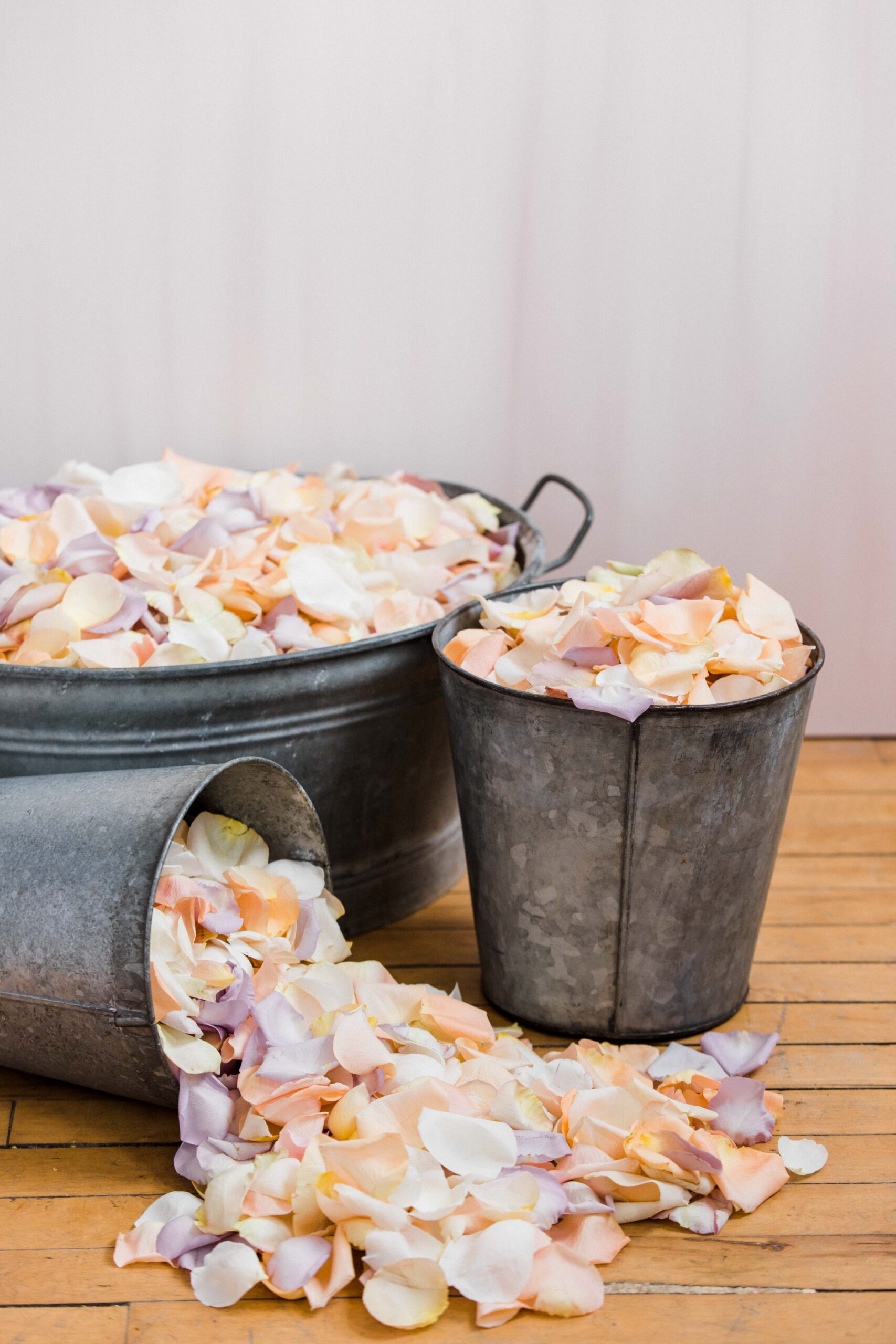 Metal buckets spill rose petals onto a wooden floor for brand photos