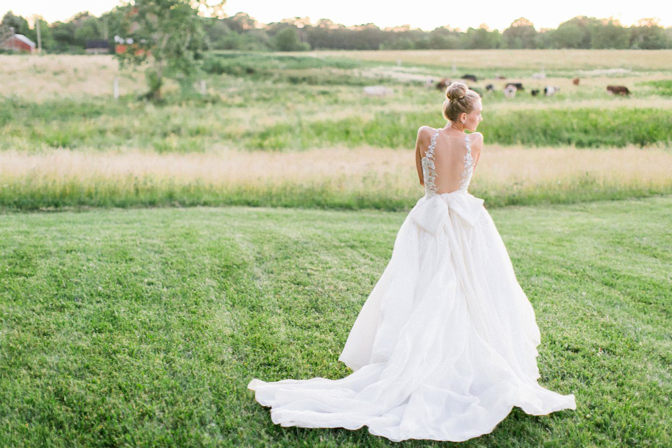 Mark Zunino Custom Gown | Michigan Fine Art Wedding Photographer | Cory Weber Photography