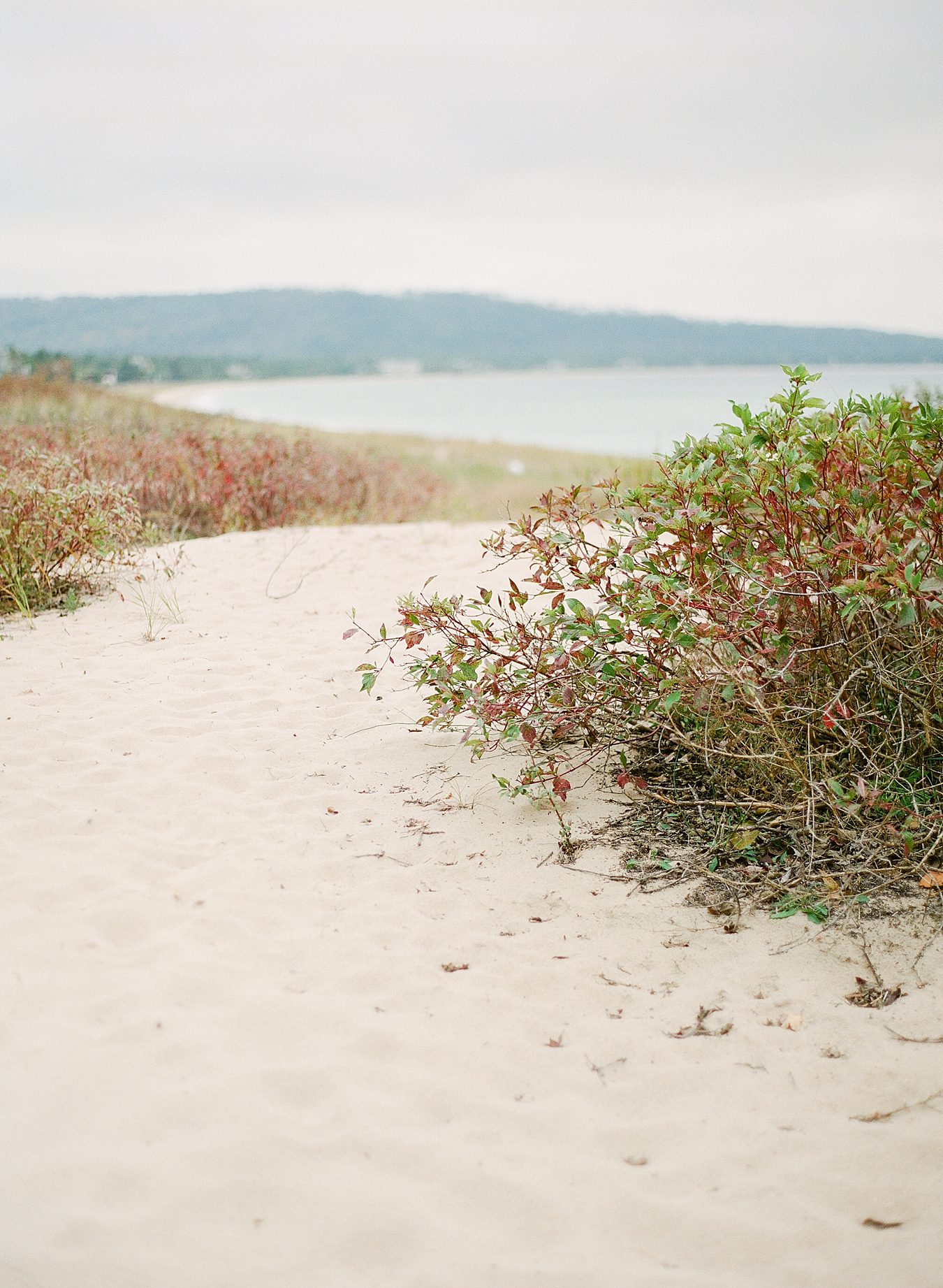 The Leelanau School | Cory Weber Photography | Sincerely, Ginger Event Design & Production 